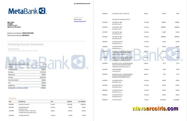 USA Washington Metabank account statement Word and PDF, 2 pages